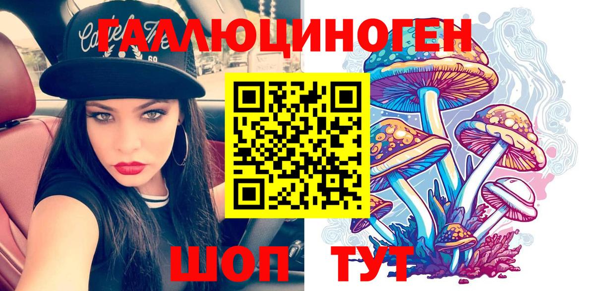 Псилоцибиновые грибы Psilocybine cubensis Гудермес