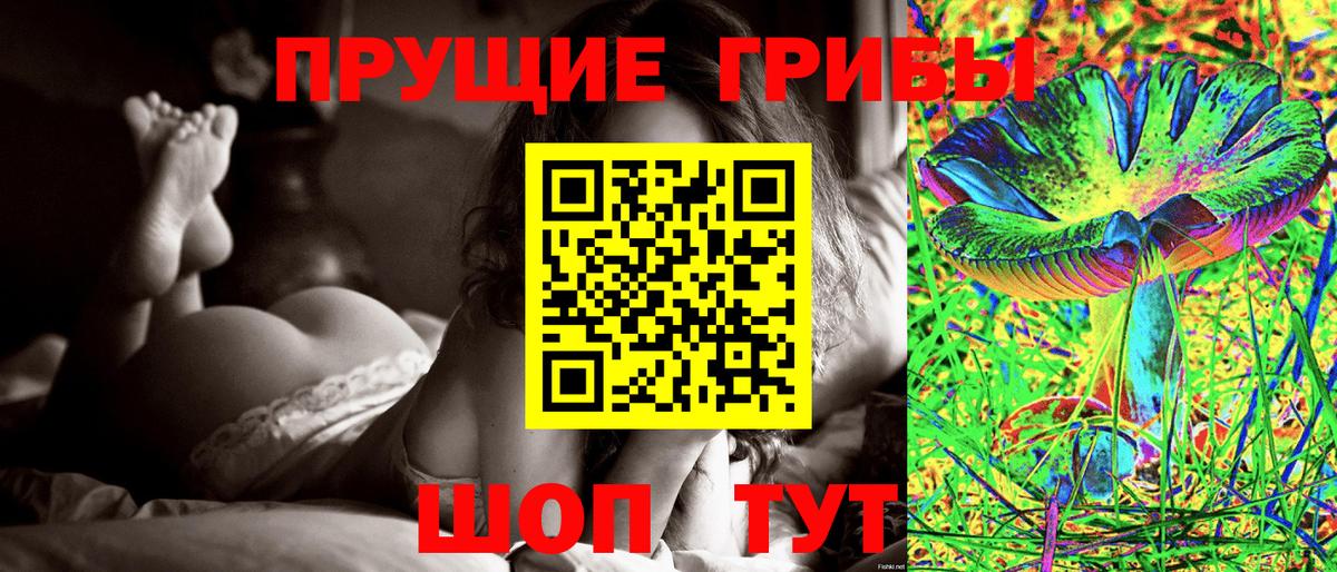 Гудермес  Галлюциногенные грибы Magic Shrooms  Вход с VPN 